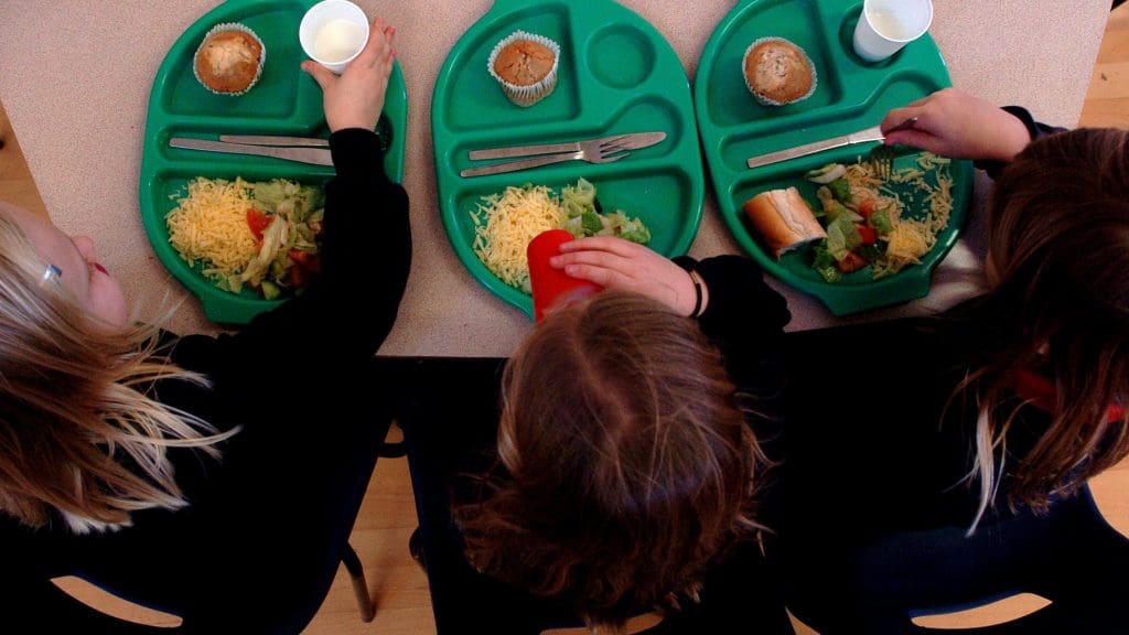 Children eating school meals