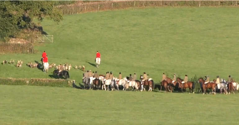 Somerset fox hunt