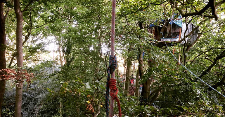 Treehouse Jones Hill wood