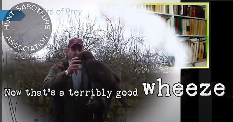 A still from a fox hunting video