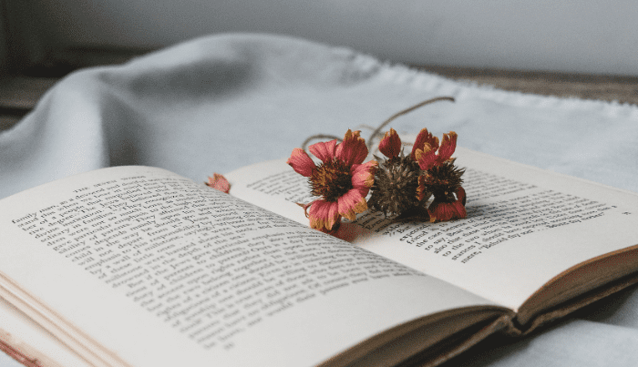 Flowers on an open book