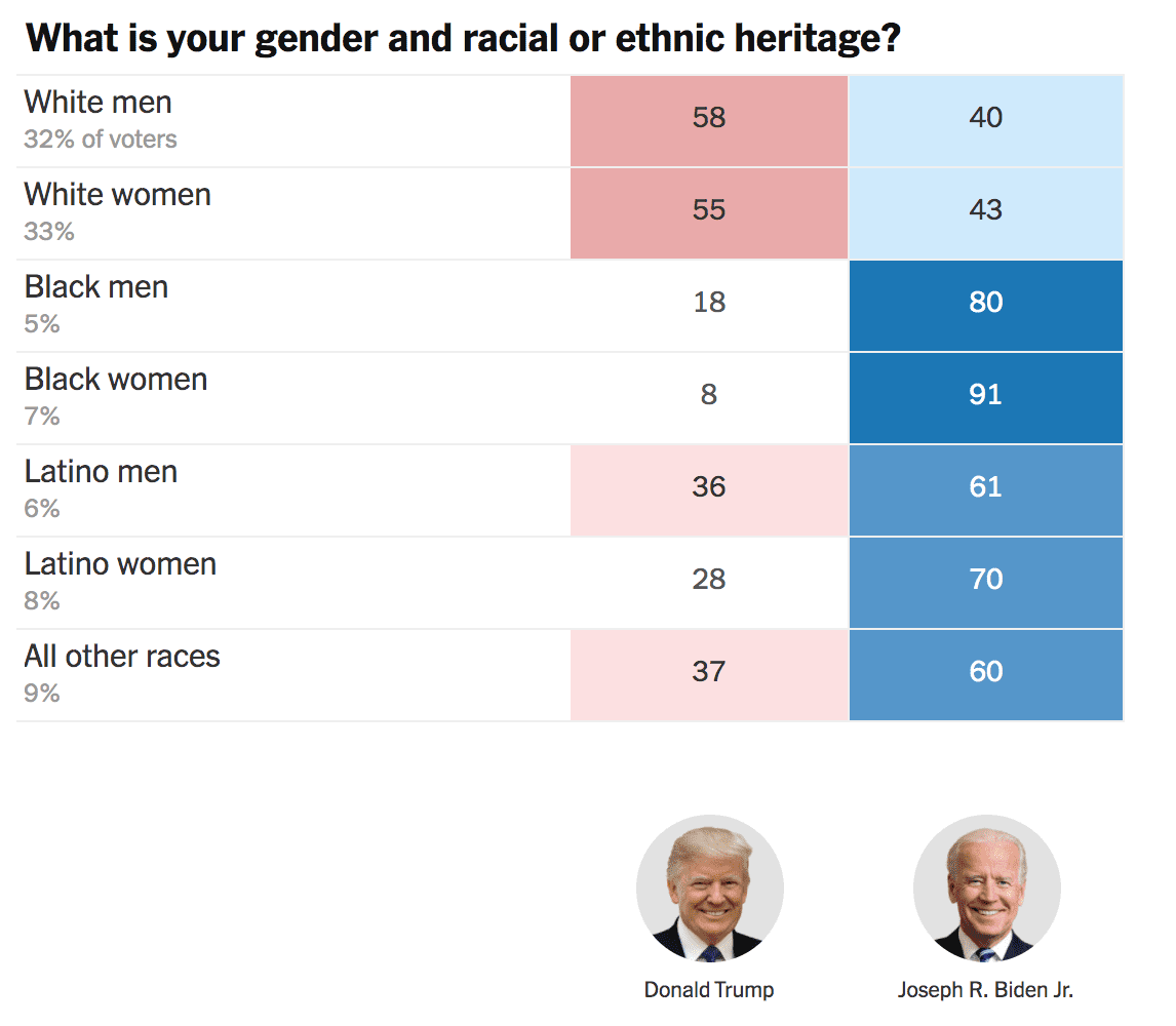 Gender and Ethnicity Breakdown of 2020 US Election
