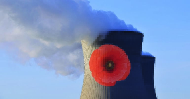 A poppy on a power station