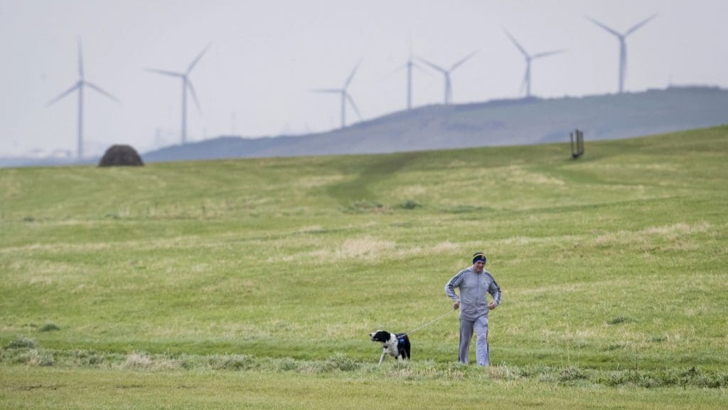A man walking his dog with a windfarm in the background