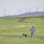 A man walking his dog with a windfarm in the background