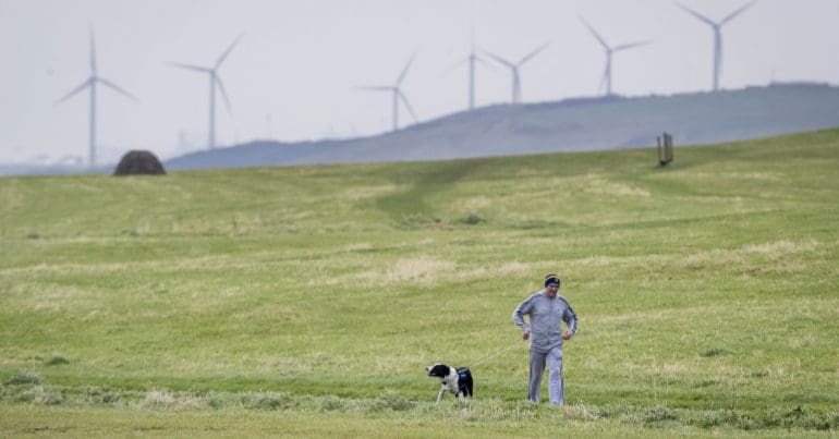 A man walking his dog with a windfarm in the background