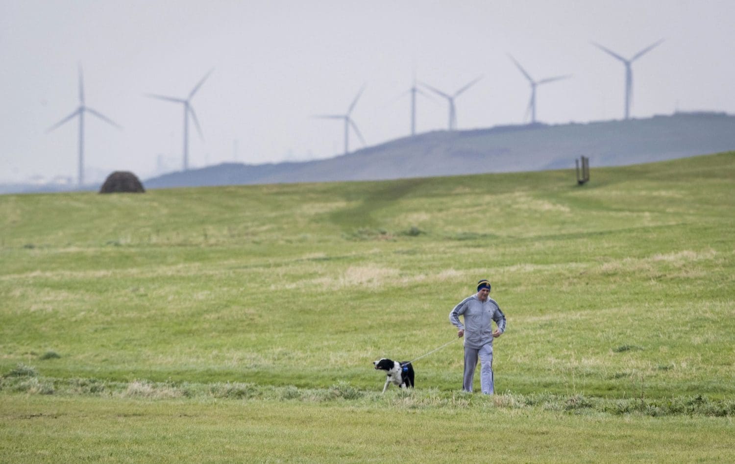 A man walking his dog with a windfarm in the background