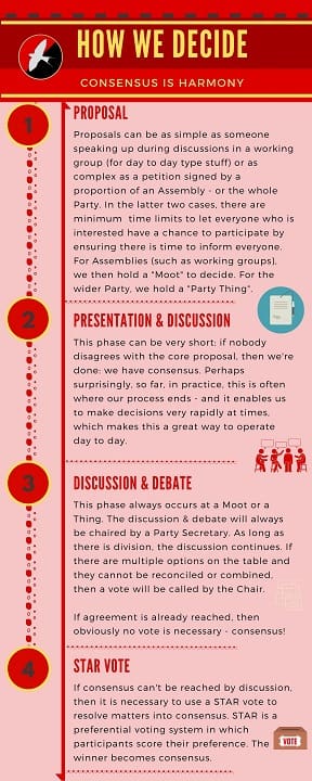 Harmony Party UK's decision making process