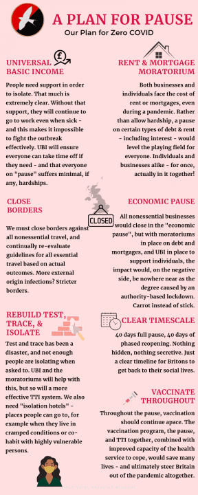 Harmony Party UK's Plan for Pause