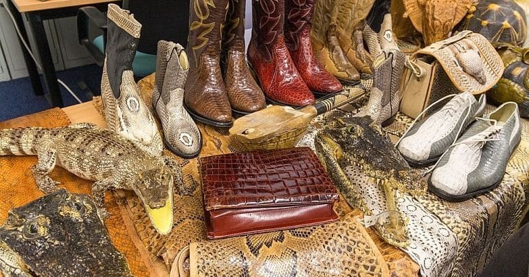 Wildlife products spread out on a table