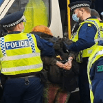 Police pin Samantha Gibson against a van