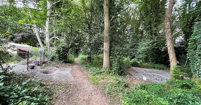 A blocked badger sett in woodland