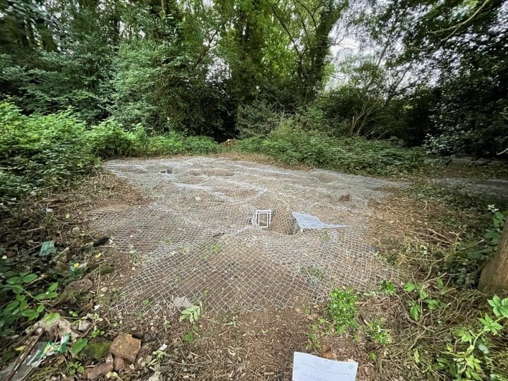 A sealed off badger sett in Brentwood woodland