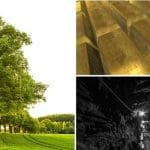 Broad leafed trees, gold bars and a mineshaft