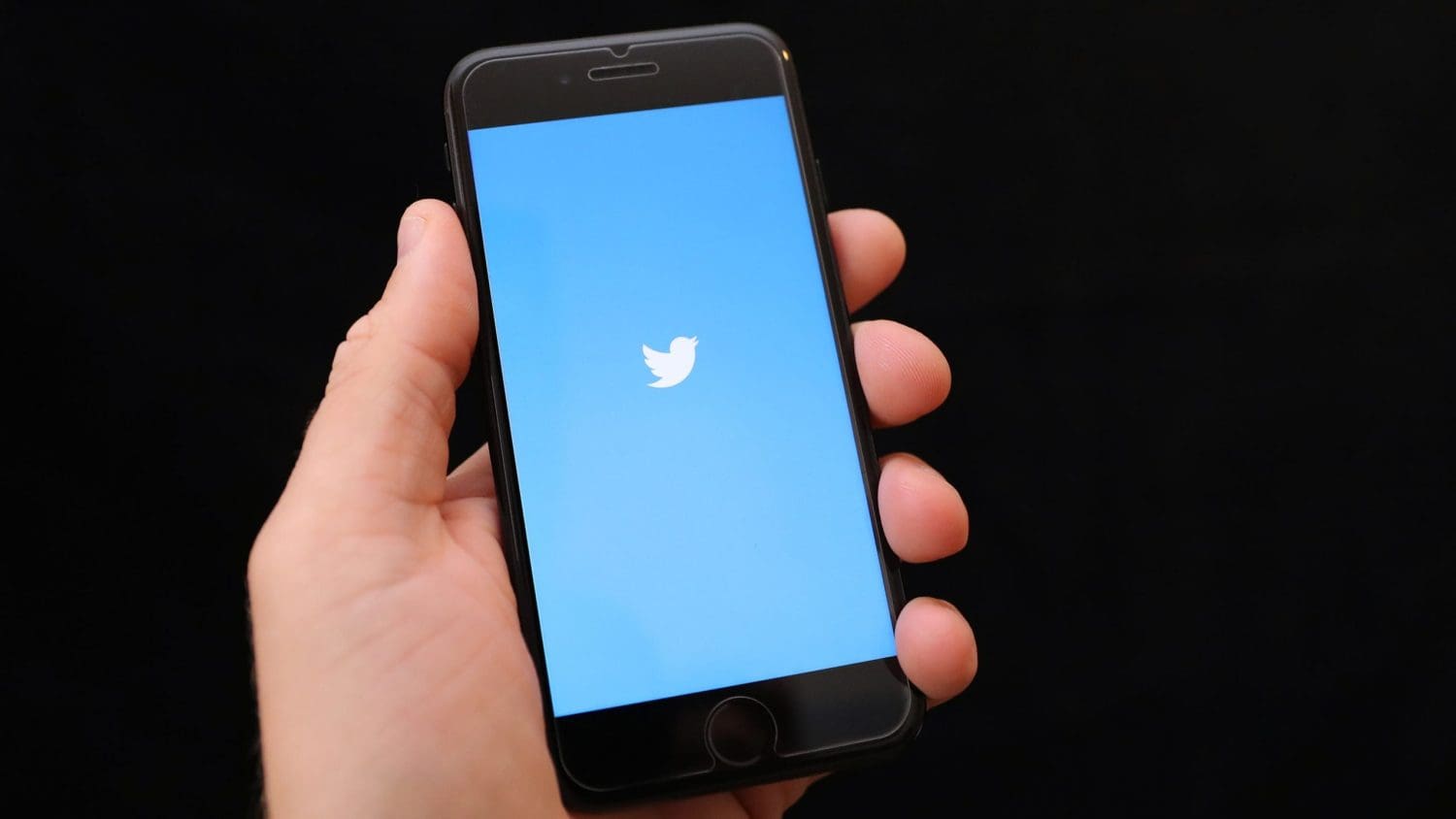 A mobile phone displaying the Twitter logo