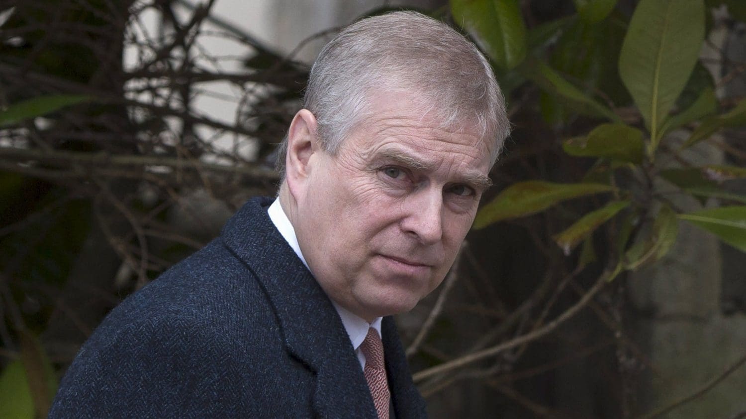 Prince Andrew Windsor