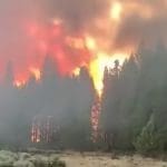 Bootleg wildfire in Oregon