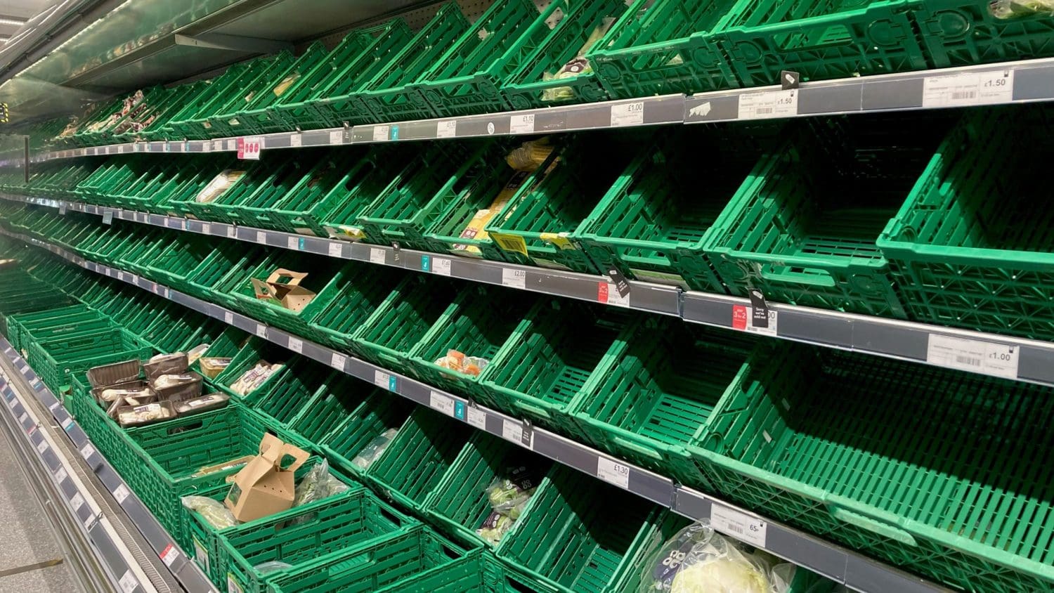 empty supermarket shelves