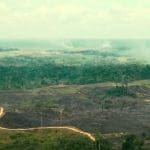 Deforestation in the Amazon