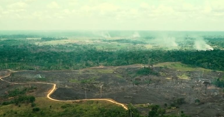 Deforestation in the Amazon