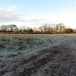 Cardiff's Northern Meadows