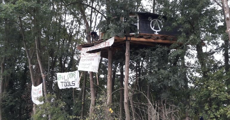 A treehouse with banners