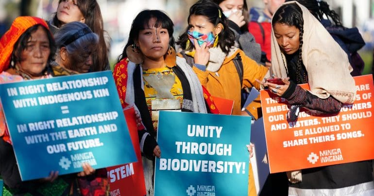Indigenous climate protesters