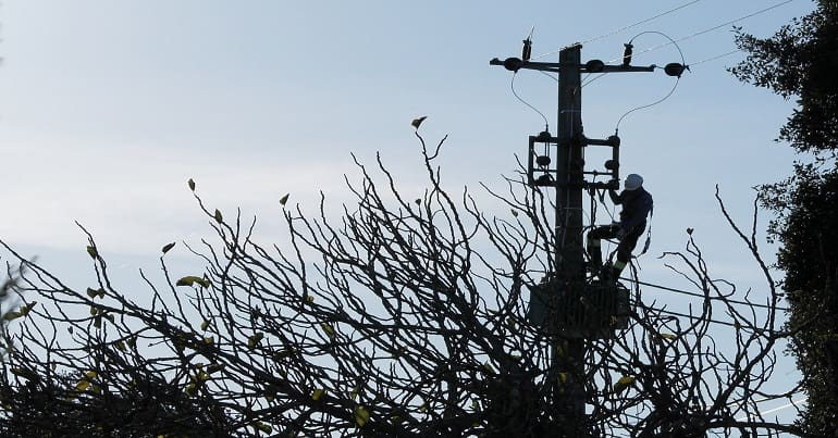 Worker repairing a power line