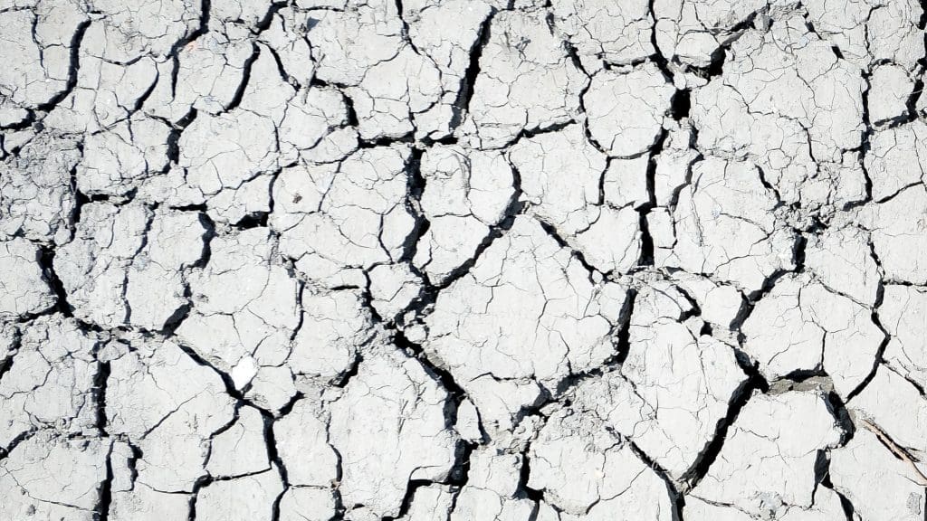 Cracked, dessicated earth