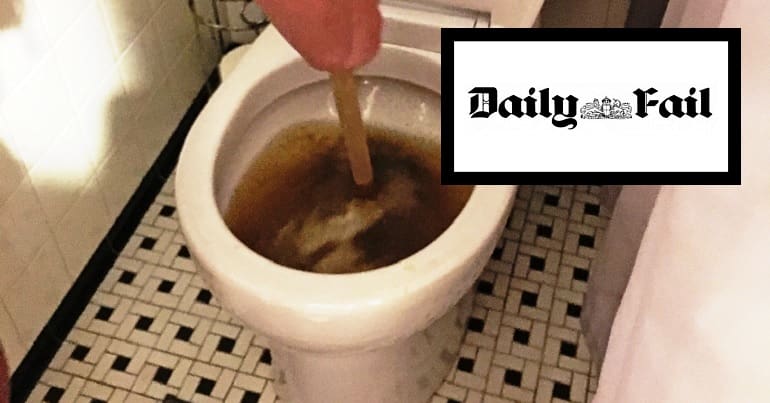 A blocked toilet and a logo which says the Daily Fail, representing the Daily Mail logo