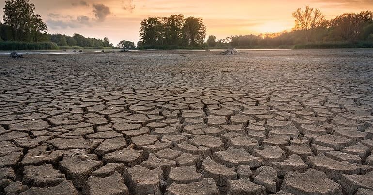 A dry soil landscape with trees and horizon in the background