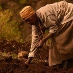 A female farmer planting crops in Ethiopia