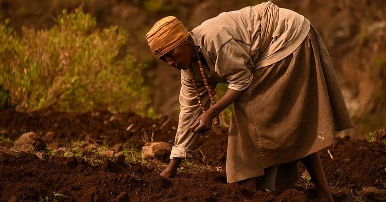 A female farmer planting crops in Ethiopia