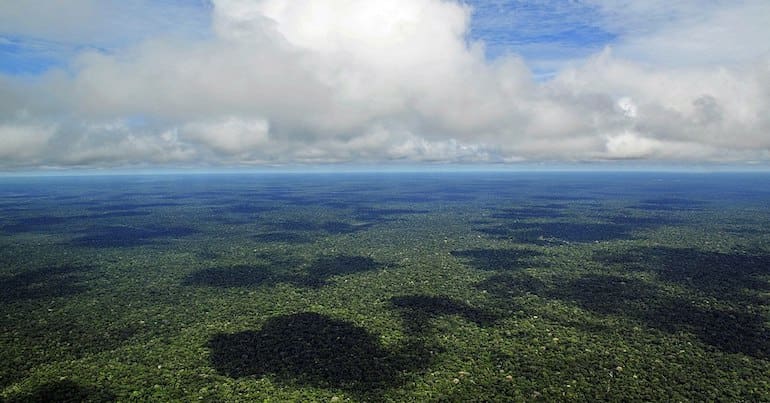 A view of the Amazon