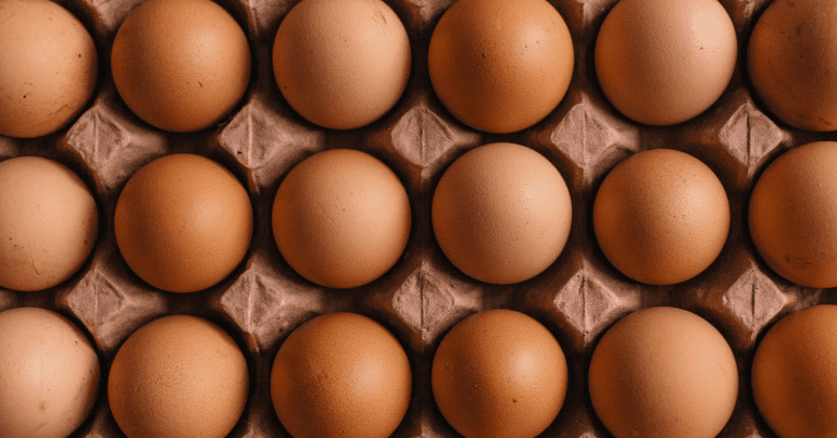 egg shortage
