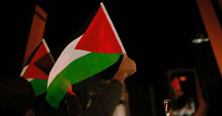 Hand holding a Palestine flag