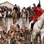 Huntsman with hounds riding out of a town centre on Boxing Day, fox hunting
