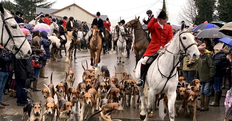 Huntsman with hounds riding out of a town centre on Boxing Day