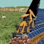 Artwork of a solar land-grab. A yellow excavator runs through the centre of the image pushing rubble, splitting the picture in two. On the left, two farmers harvest from a field of chickpea crop. In the distance, a cow grazes on dry grasses. Trees and shrubs dot the horizon. On the right side, lines of solar panels stretch out to the horizon, where the rich and biodiverse crop field once existed. All this represents climate aid and the village of Badi in India