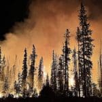 Forest fire burning at night in the US
