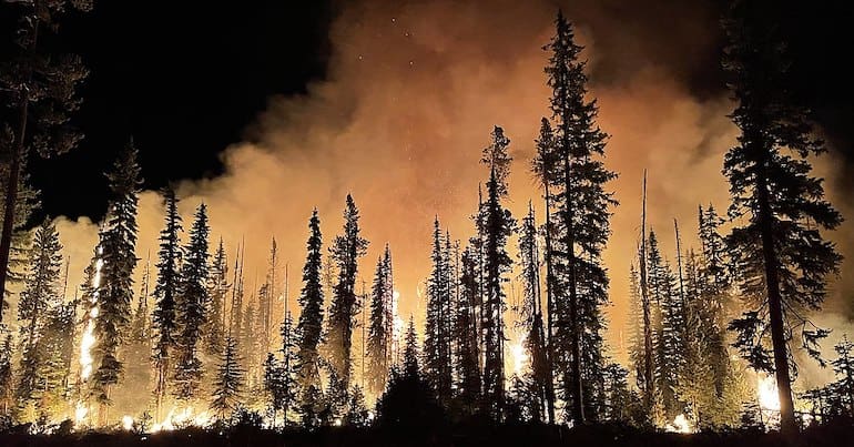 Forest fire burning at night in the US