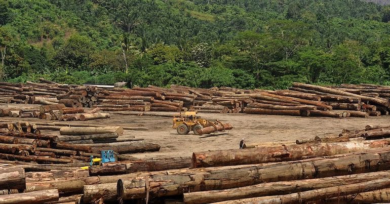 Logging in Malaysian Borneo