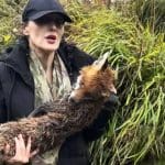 A hunt saboteur holds the body of a recently killed fox in her arms