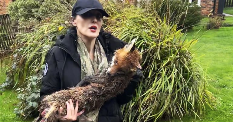 A hunt saboteur holds the body of a recently killed fox in her arms