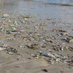 Plastic pollution littering a beach close to the shoreline