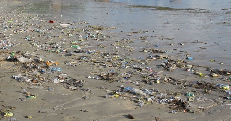 Plastic pollution littering a beach close to the shoreline