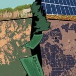 Artwork of a renewable energy land-grab. An image of the UK splits the image in half, with bank notes flowing from it. On the left, satellite image of the land before the solar park, plus a landscape scene of trees, grasses, scrub and a cow on common land. On the right, satellite image with the solar park dominating the area and a landscape image of a series of solar panels. This relates to UK climate finance being used in India