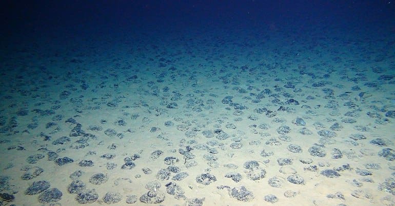 Seafloor with apparent mineral deposits, which are targets for deep-sea mining