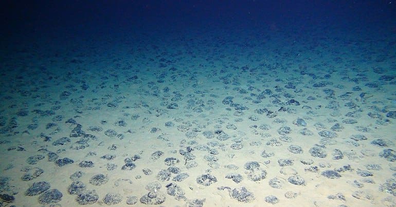Seafloor with apparent mineral deposits, which are targets for deep-sea mining