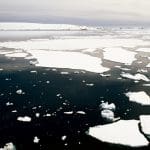 Antarctic sea ice